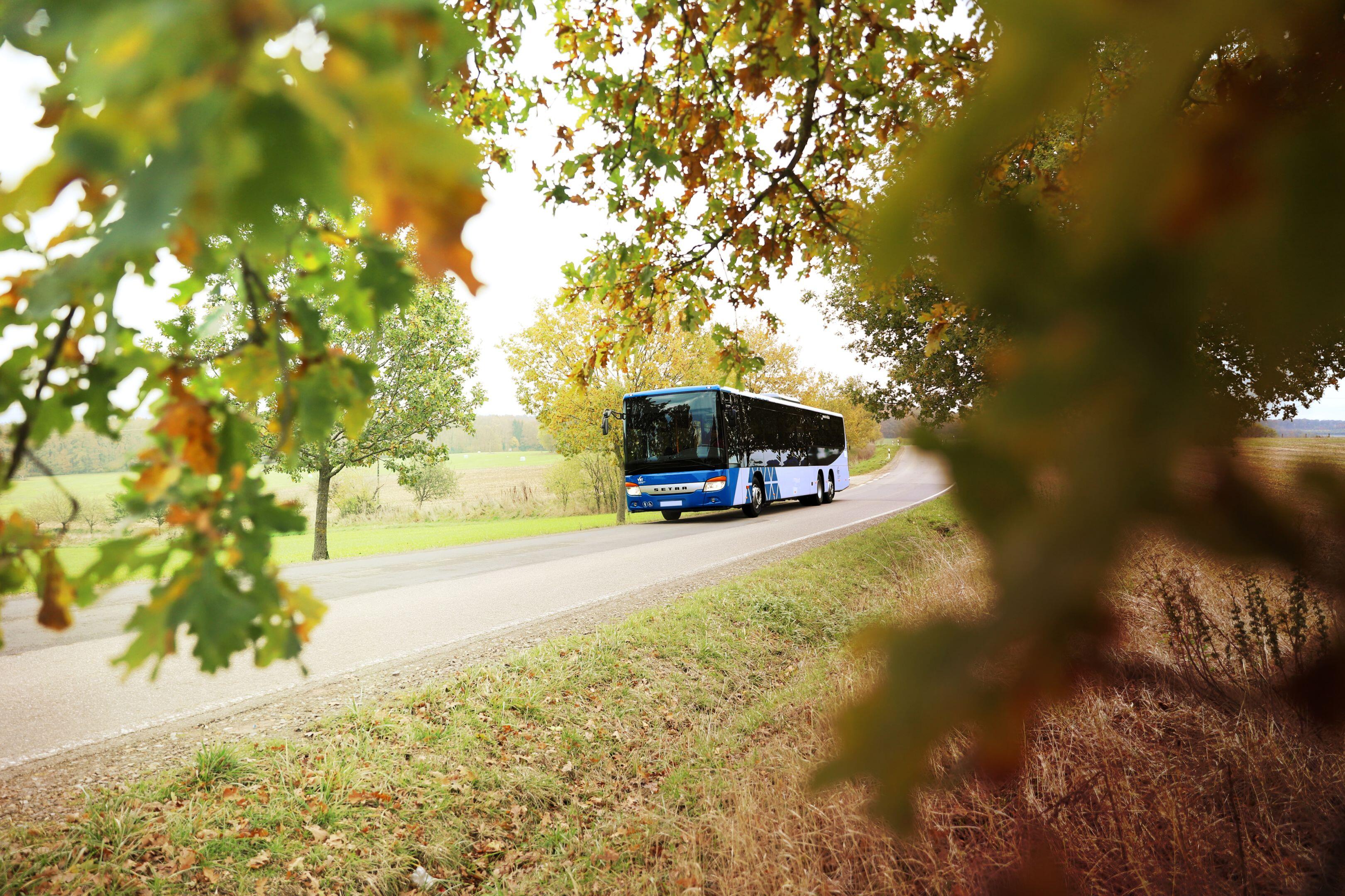 Ab 1875 - die Pionierzeiten