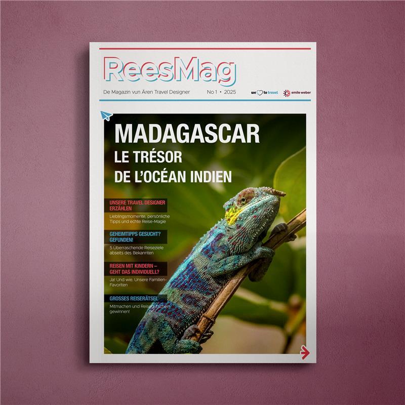 More information about ReesMag N°1 - 2025