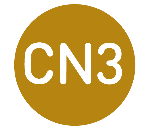 CN3