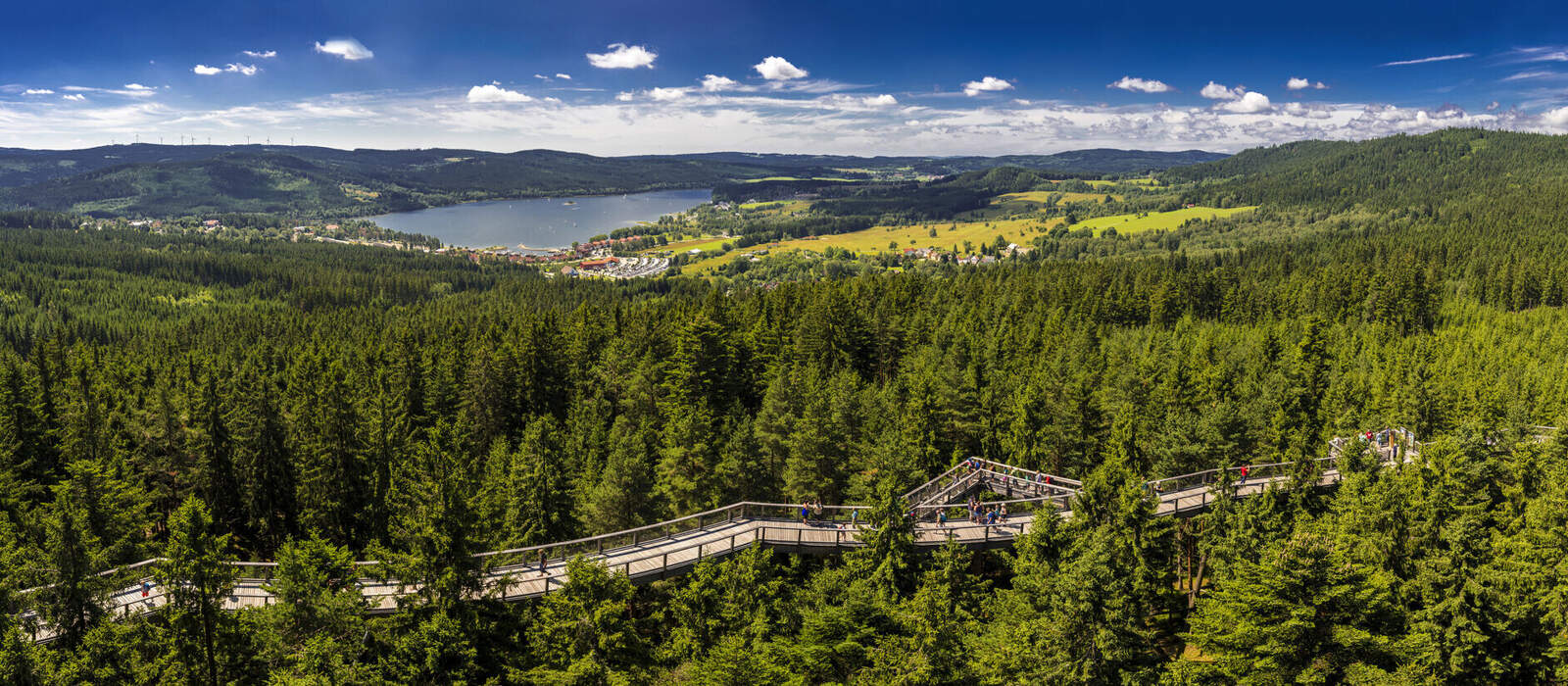 Baumwipfelpfad Lippen am Stausee Lipno im Südwesten der Tschechischen Republik ©kojin_nikon - stock.adobe.com