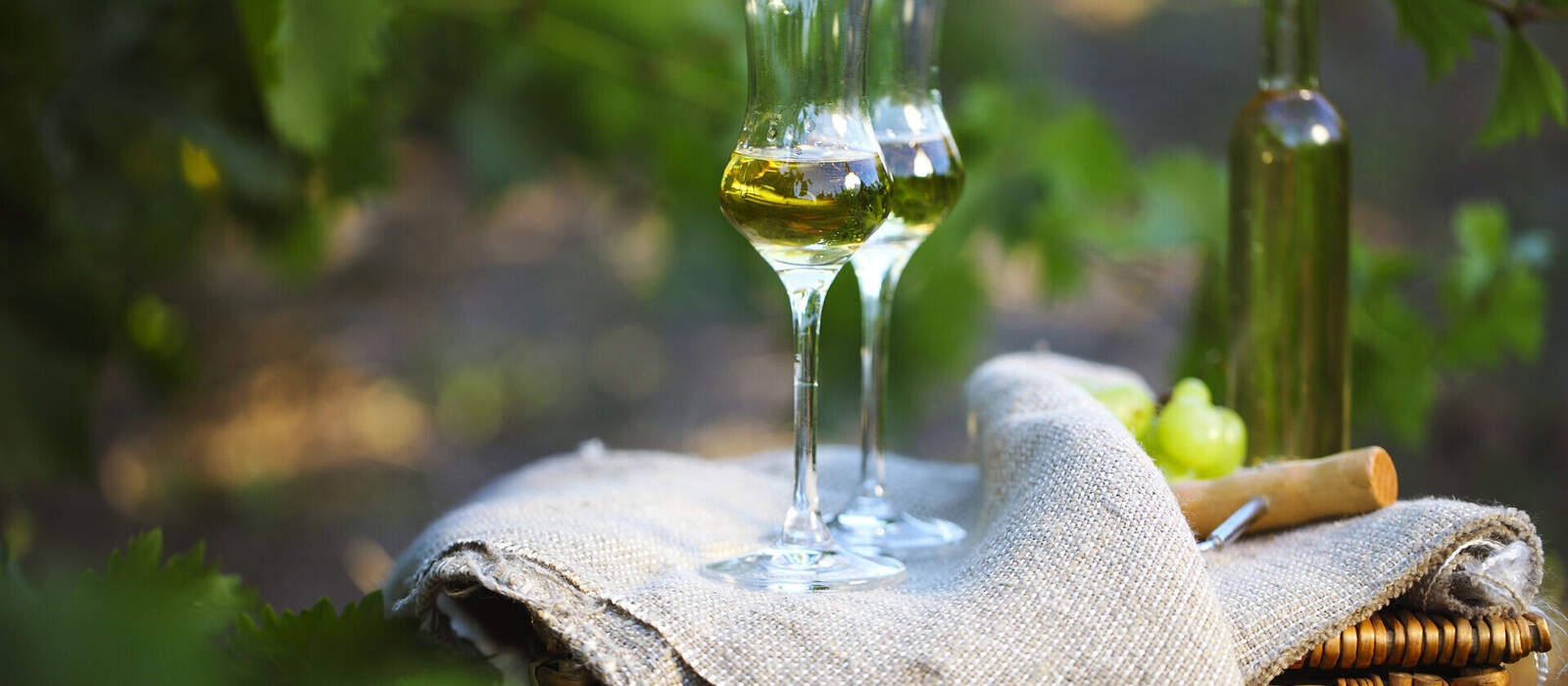 Flasche Schnaps oder Grappa und Gläser mit Weintraube ©Dasha Petrenko - stock.adobe.com