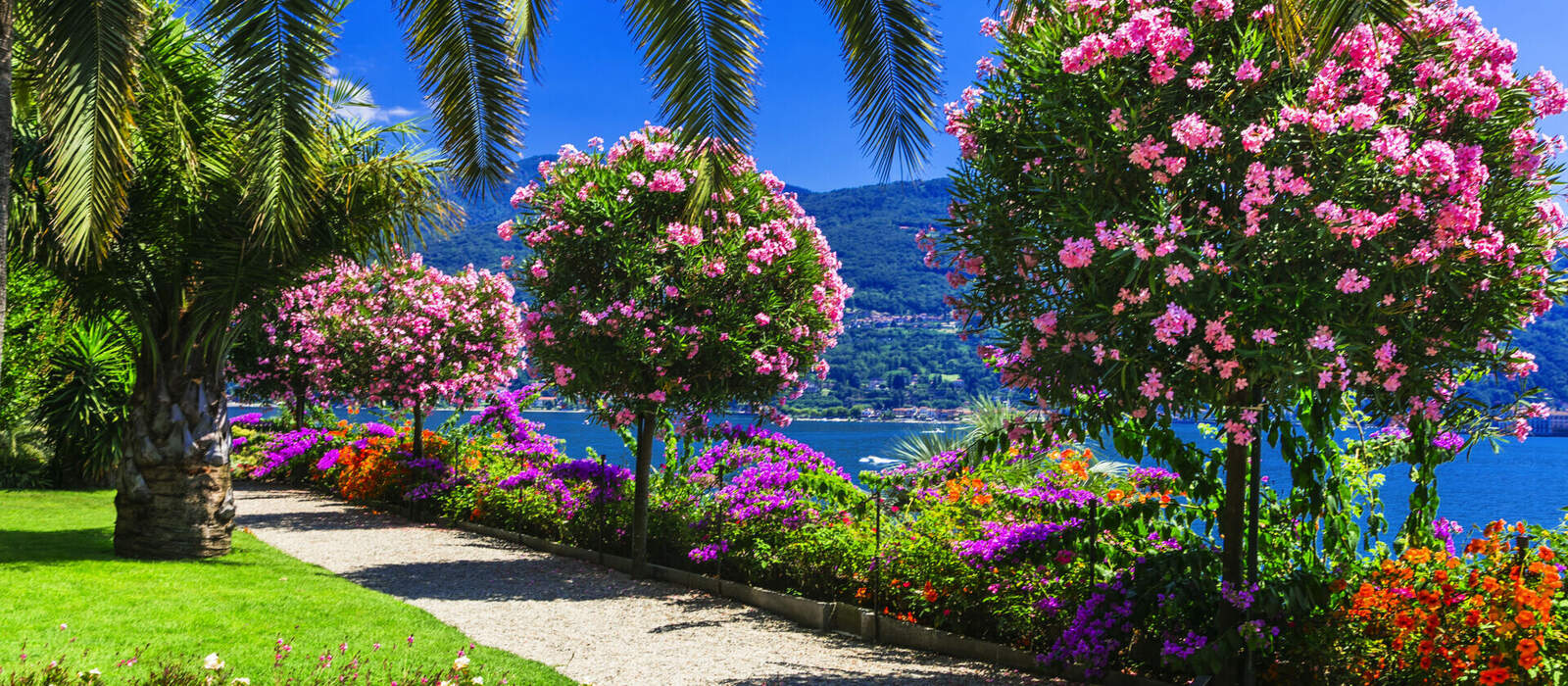 Lago Maggiore ©Freesurf - stock.adobe.com