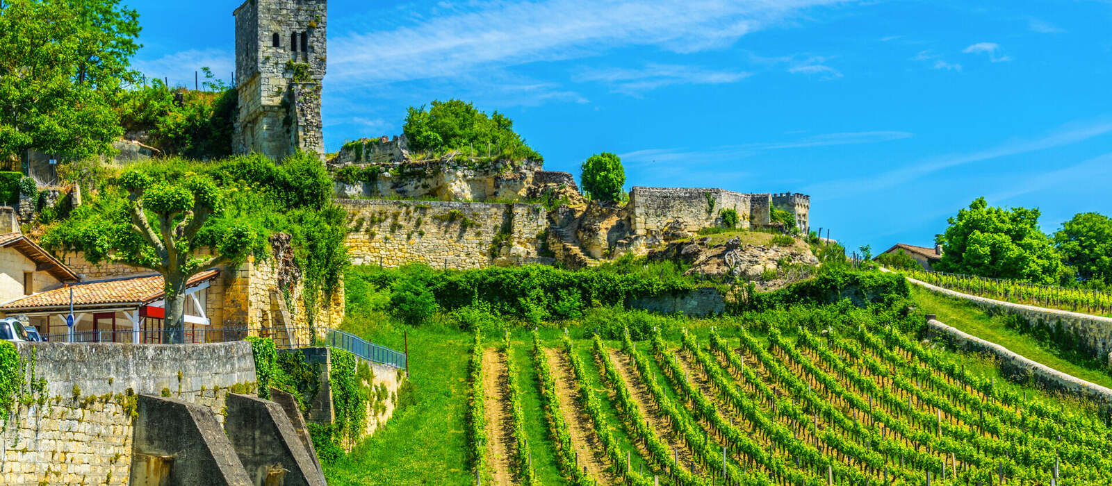 Weinberge bei Saint Emilion in Frankreich ©dudlajzov - stock.adobe.com