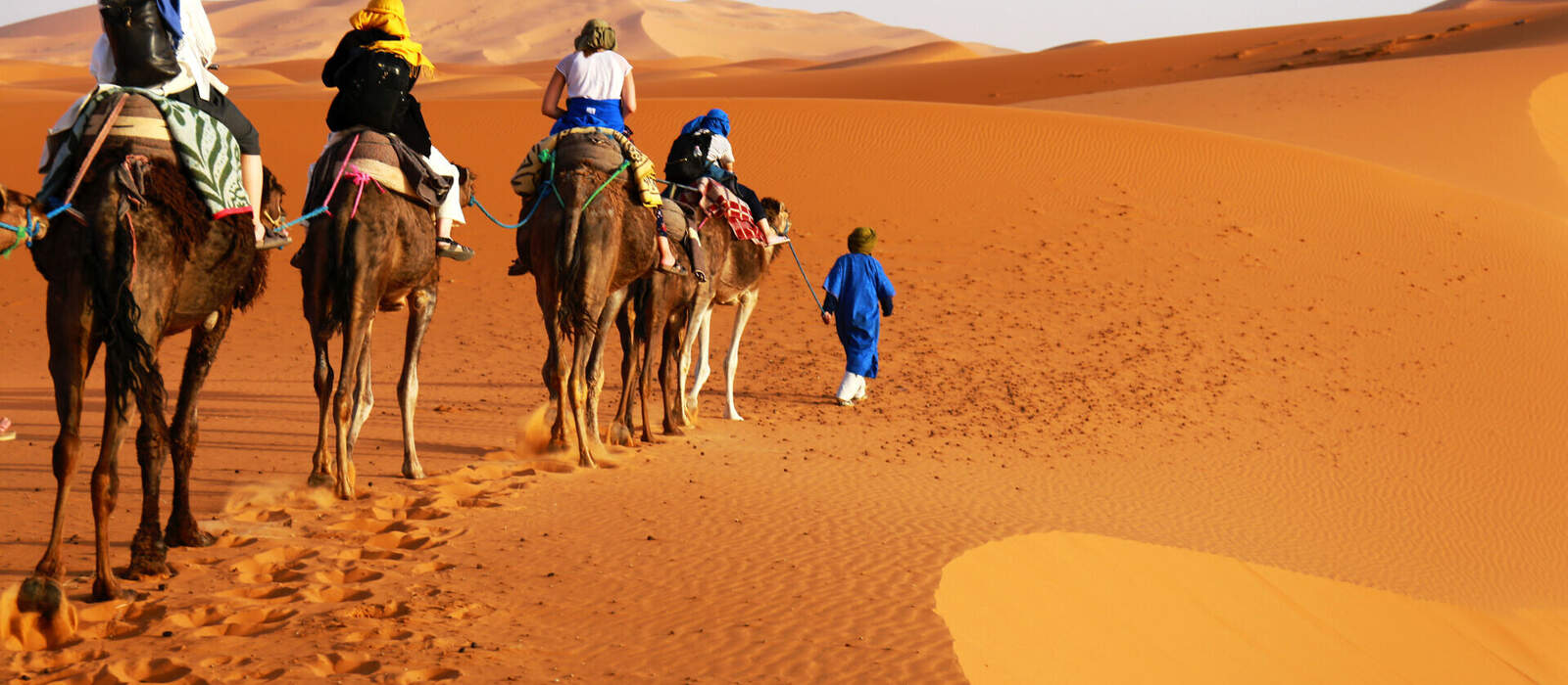 Kamelkarawane in der Sahara, Marokko ©Sonja - stock.adobe.com