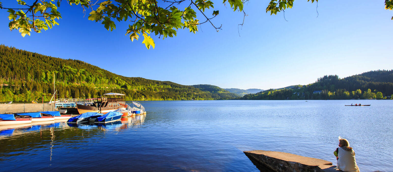 Lake Titisee Neustadt in the Black Forest. ©amnach - stock.adobe.com