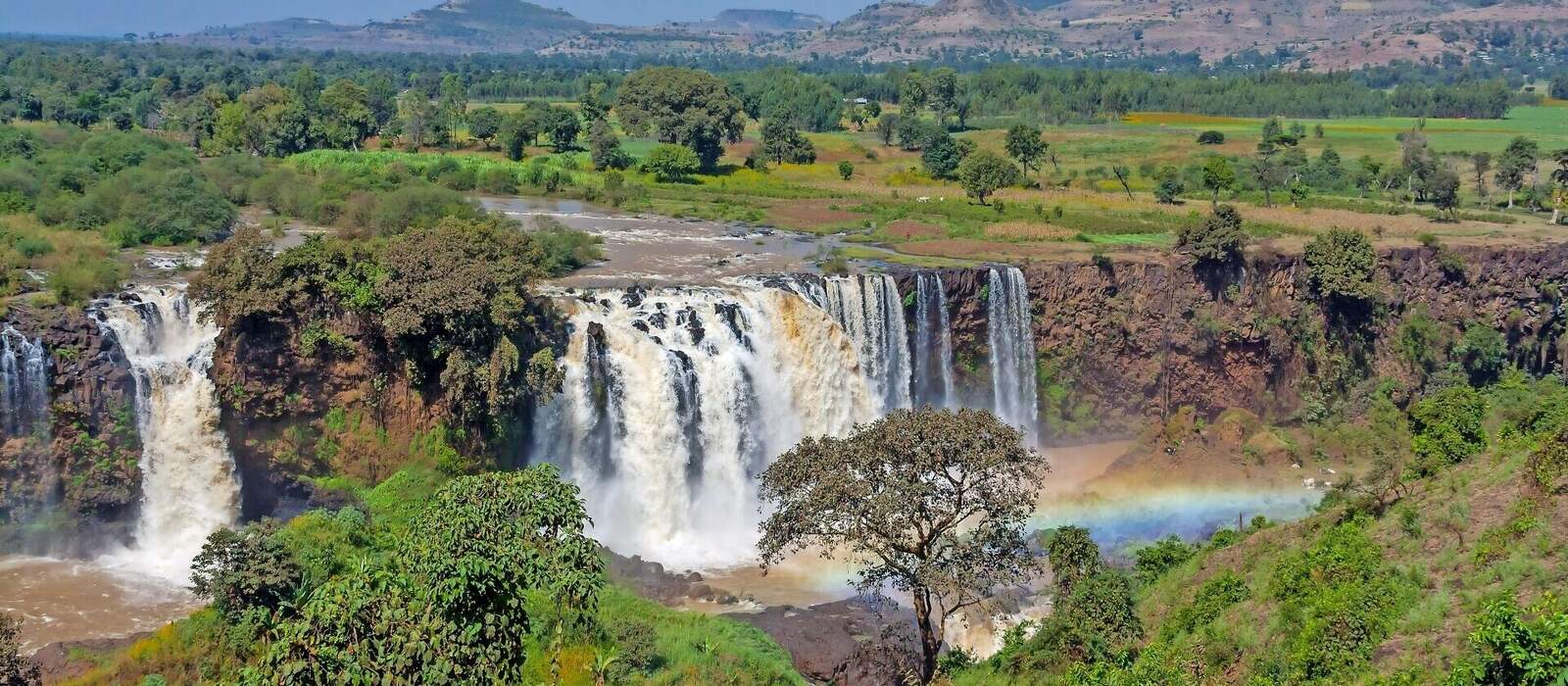 Nilfälle © wkbilder - stock.adobe.com