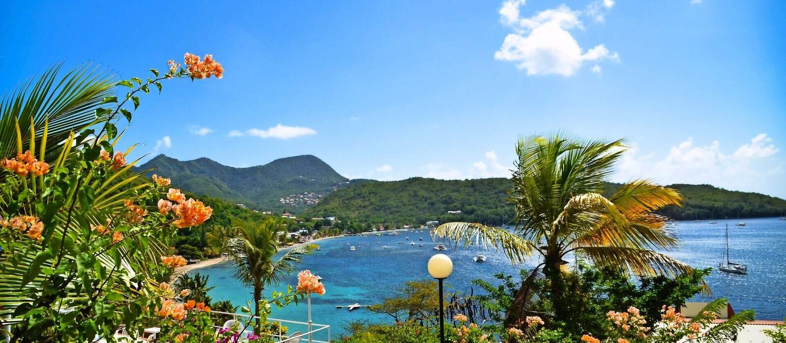 Grande Anse, Martinique © PRISCILLIA - stock.adobe.com