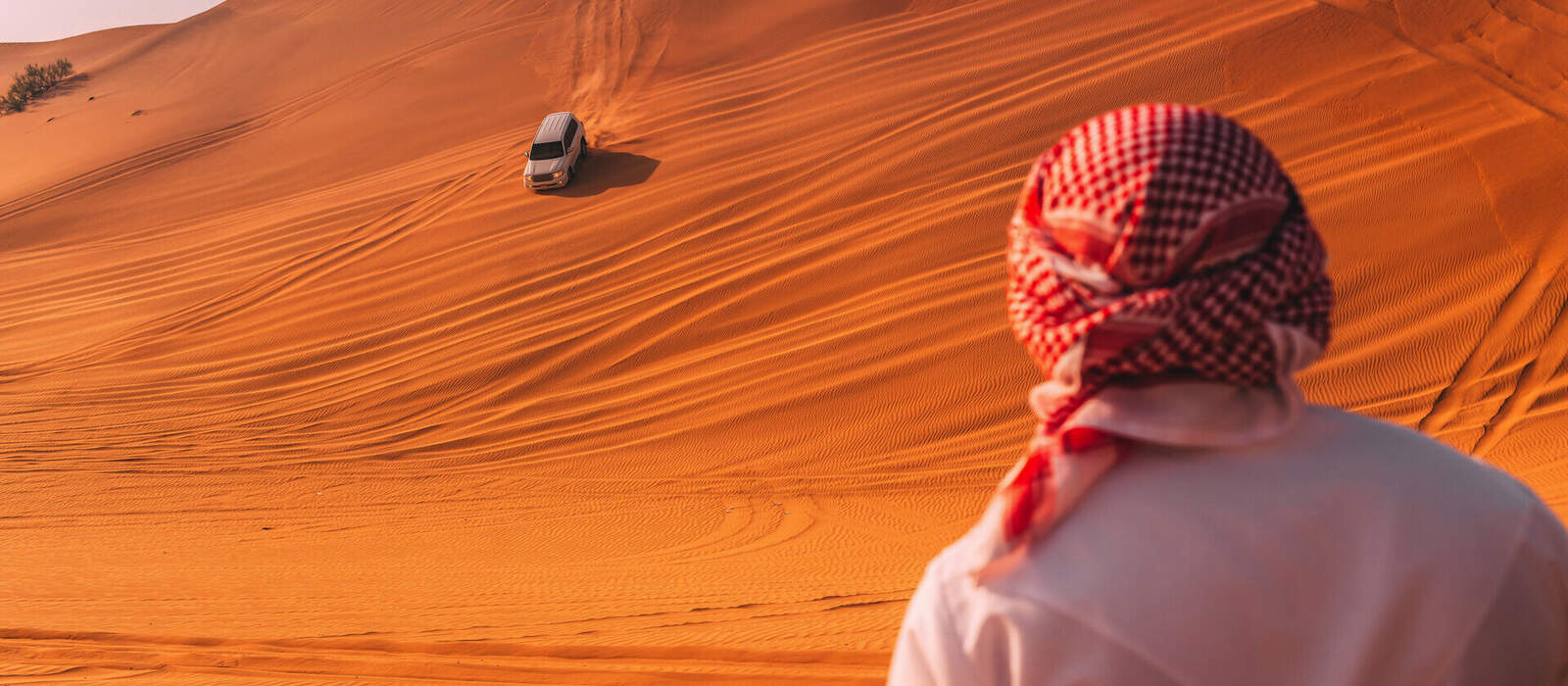 Wüstensafari © sabino.parente - stock.adobe.com