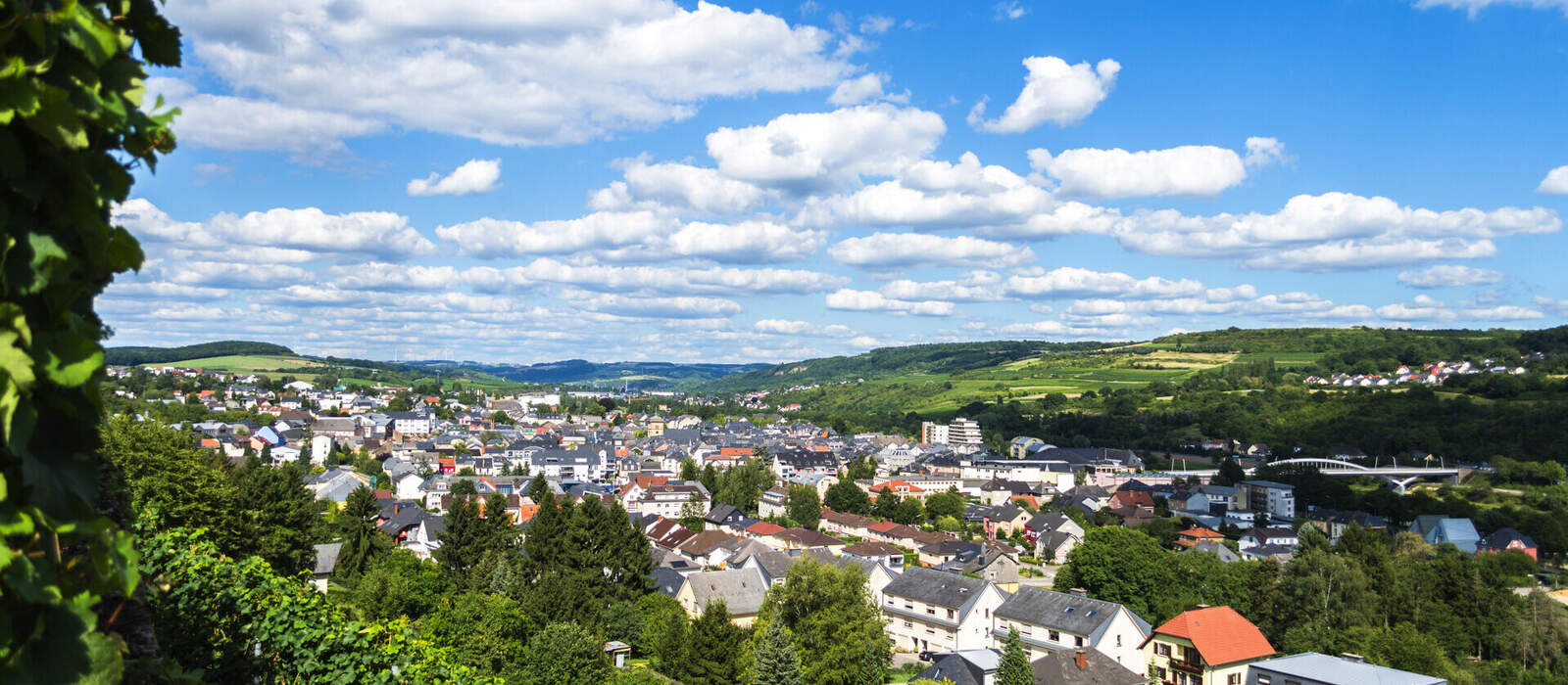 Moselweinstraße © amalasi - stock.adobe.com
