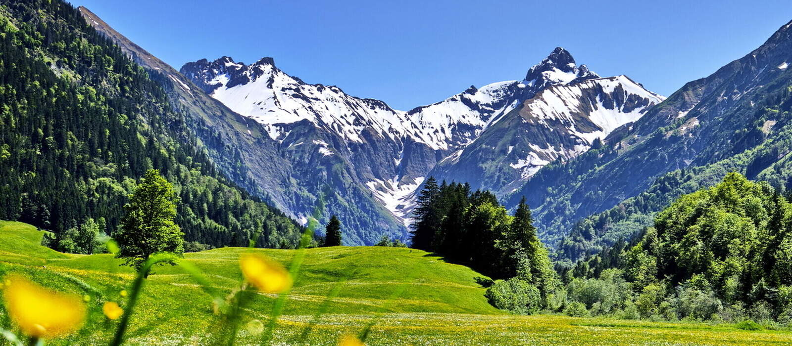 Trettachtal - Alpen, Blumenwiesen und Berge mit Schnee auf Gipfeln
