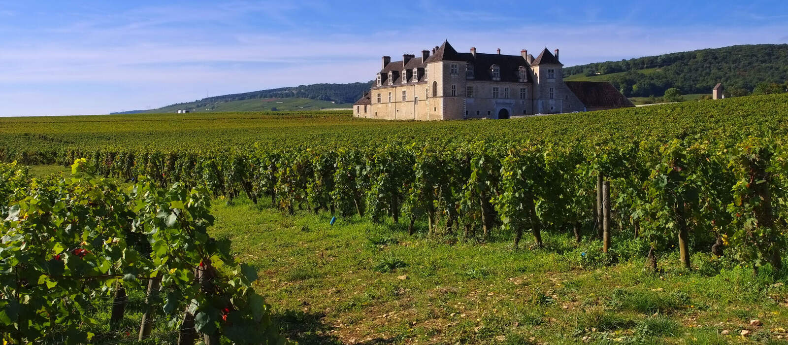 Château du Clos de Vougeot © LianeM