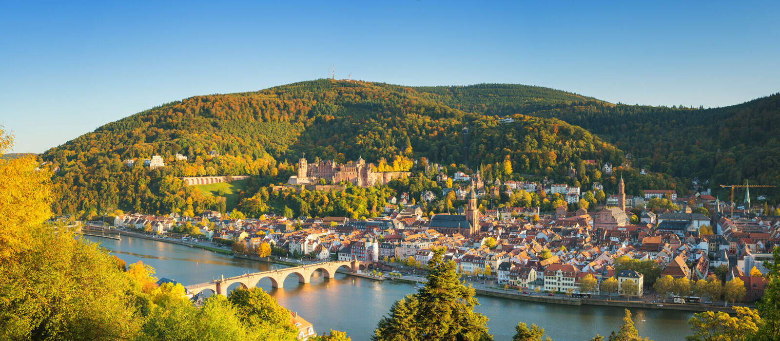 Heidelberg Panorama mit Schloss und Alter Brücke © tichr - stock.adobe.com
