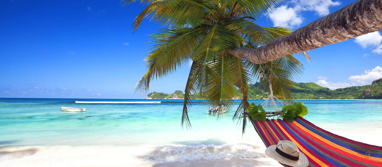 Urlaub am Meer unter Palmen © Jenny Sturm - stock.adobe.com