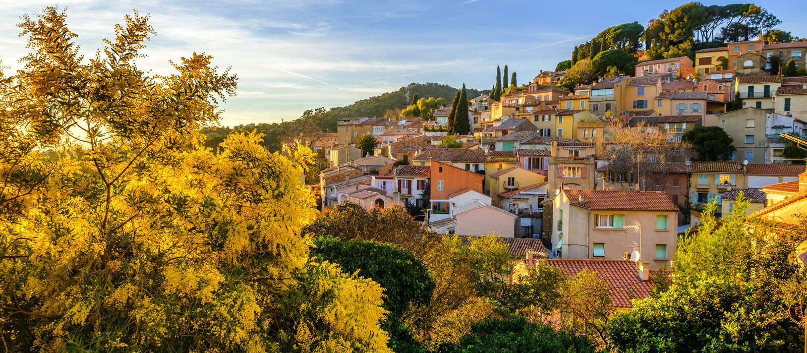 Panoramablick auf Bormes-les-Mimosas im Winter mit blühenden Mimosenbäumen im Vordergrund © Marina - stock.adobe.com