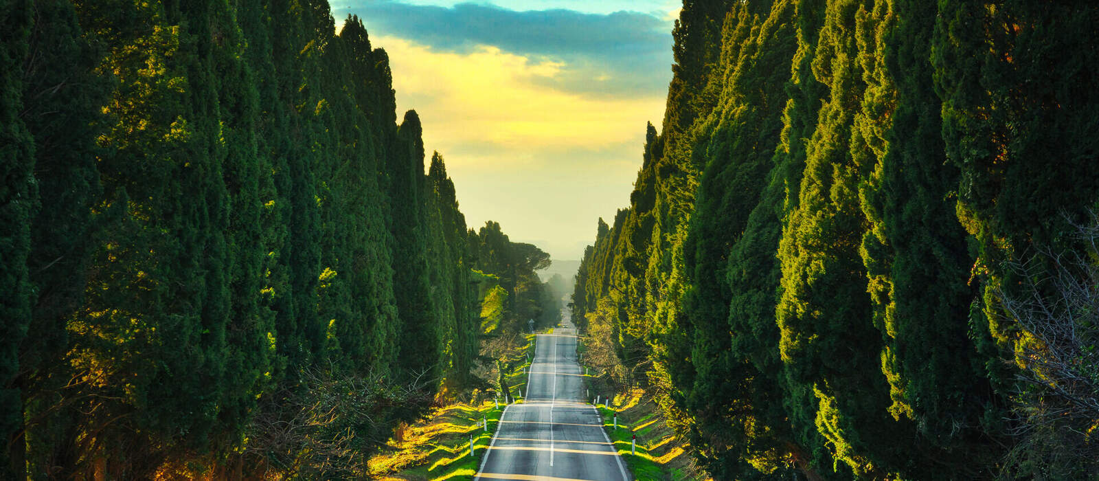 Bolgheri - einer der schönsten Orten der Toskana © stevanzz - stock.adobe.com