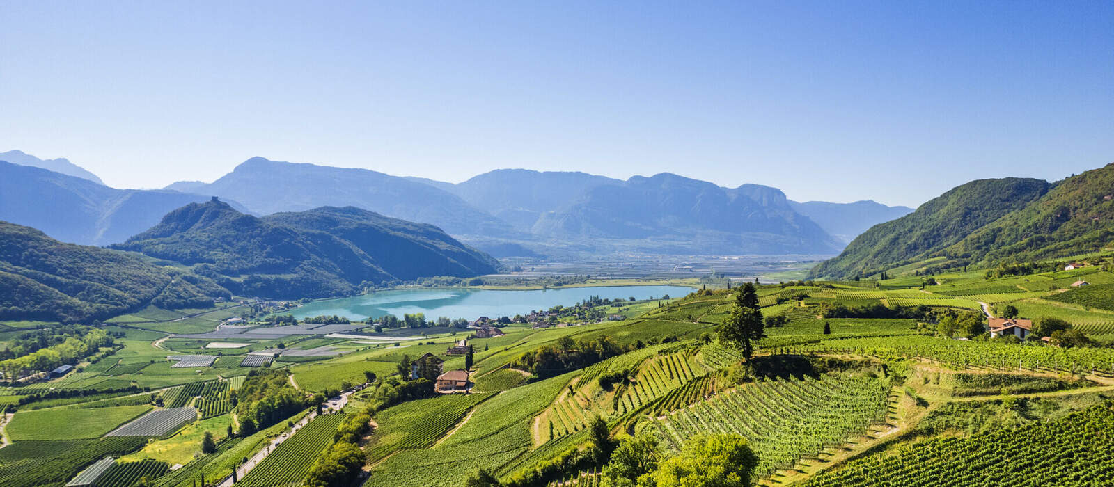 Weinberge rund um den Kalterer See im Süden Südtirols © dimizu - stock.adobe.com