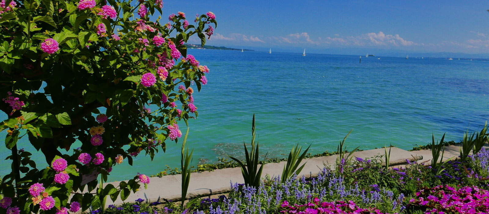 Insel Mainau © Susanne - stock.adobe.com