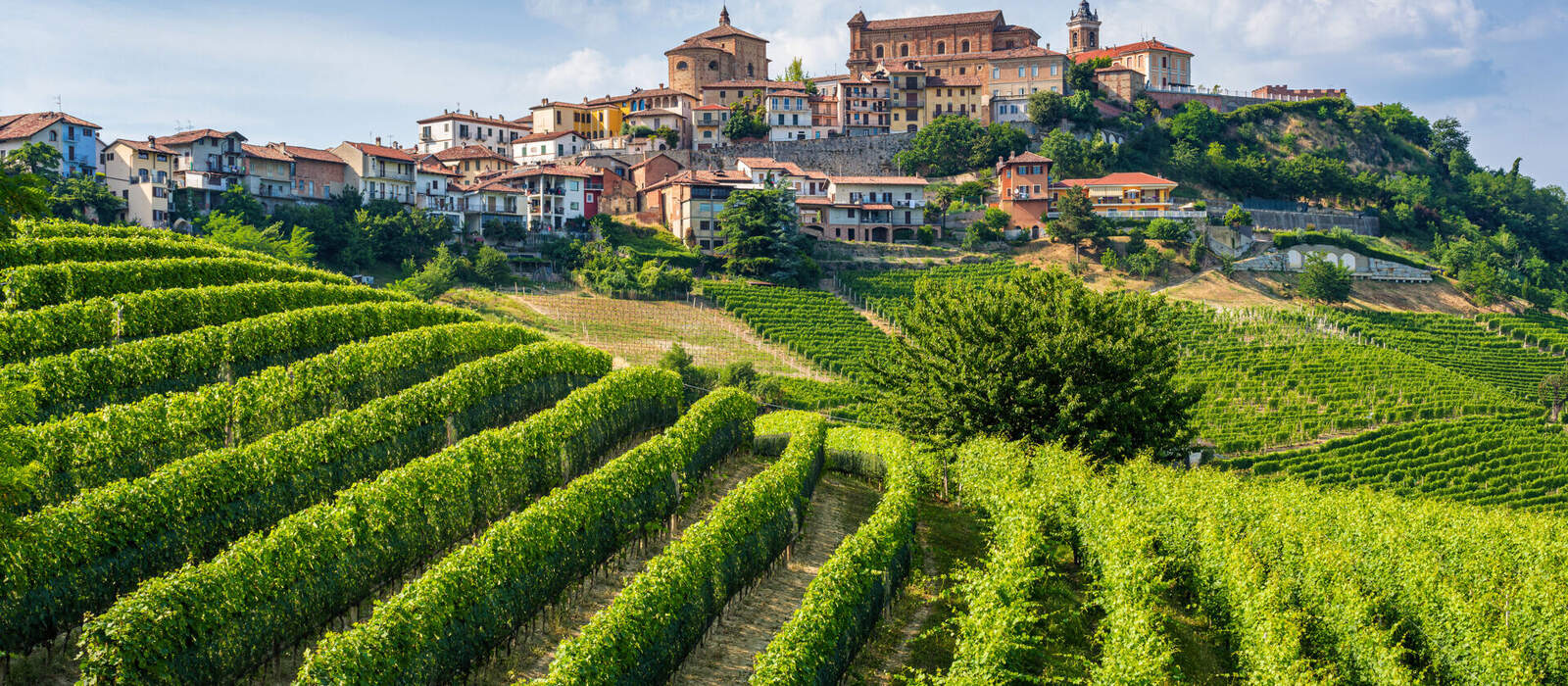 Dorf La Morra und seine Weinberge in der Region Langhe im Piemont © e55evu - stock.adobe.com
