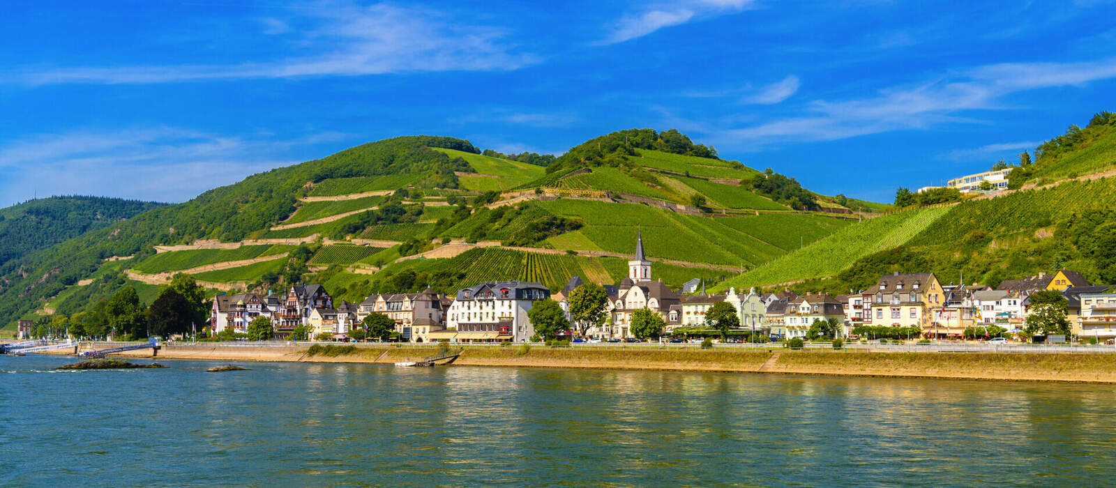 Weinberge in Rüdesheim  © Eagle2308 - stock.adobe.com