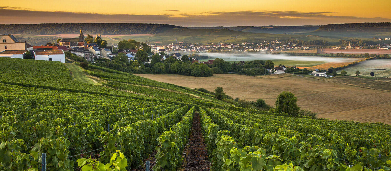 Champagne Region in Frankreich © Hesam Wide Shot - stock.adobe.com