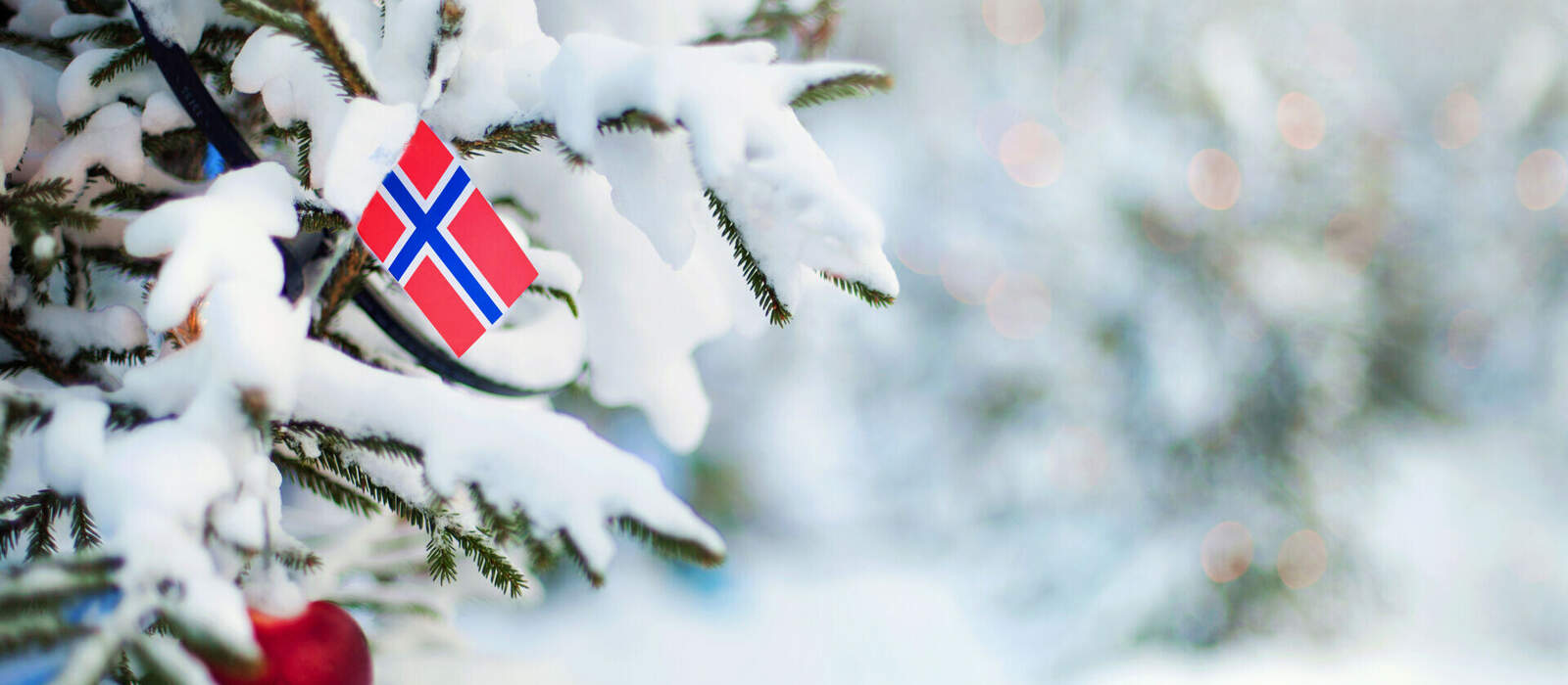 Weihnachten in Norwegen - eingeschneiter Weihnachtsbaum mit Norwegenfahne © The Art of Pics. All rights reserved