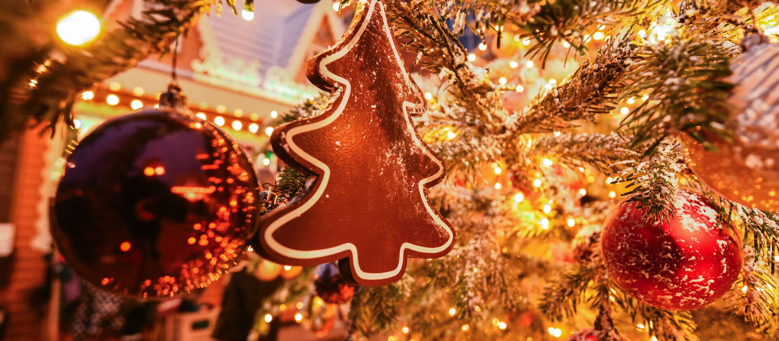 ein Weihnachtsbaum-Ingwerplätzchen schmückt einen echten Weihnachtsbaum © Viktor - stock.adobe.com