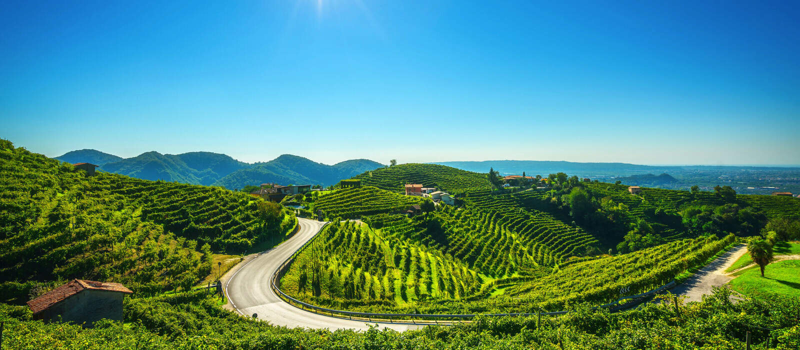 Prosecco Hills nahe Valdobbiadene in Venetien, Italien © stevanzz - stock.adobe.com
