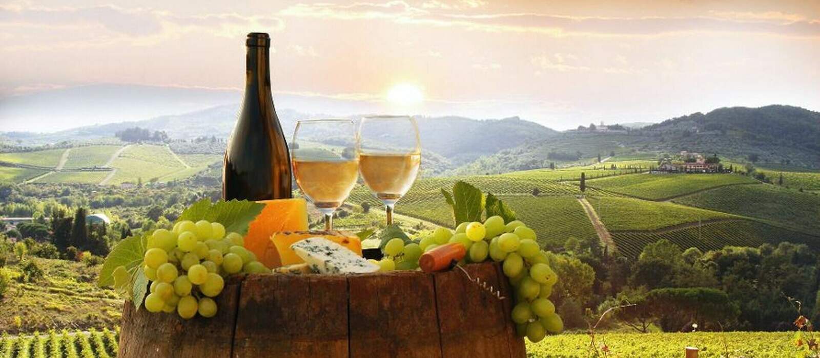 White wine with barell  in vineyard, Chianti, Tuscany, Italy © samott - Fotolia