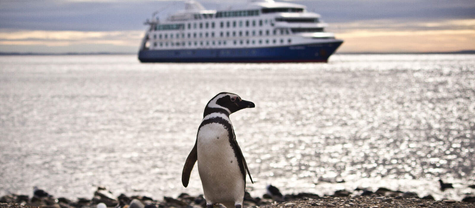 Cruceros Australis S.A.