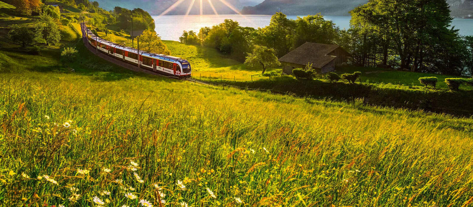 Luzern-Interlaken-Express 2019 Tobias Ryser / Zentralbahn AG, Interlaken Tourismus