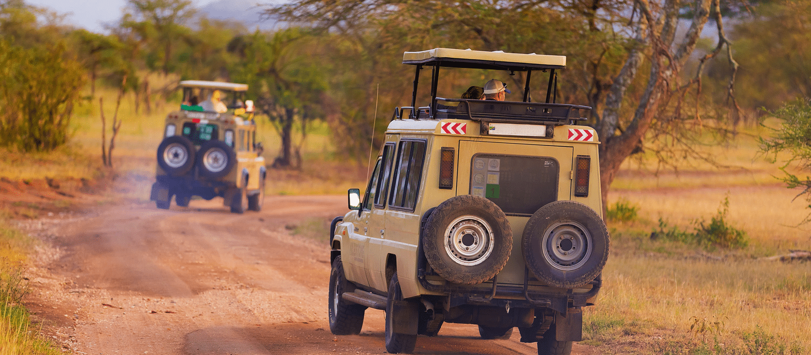 Jeeps auf afrikanische Tiersafari. © kasto - Fotolia