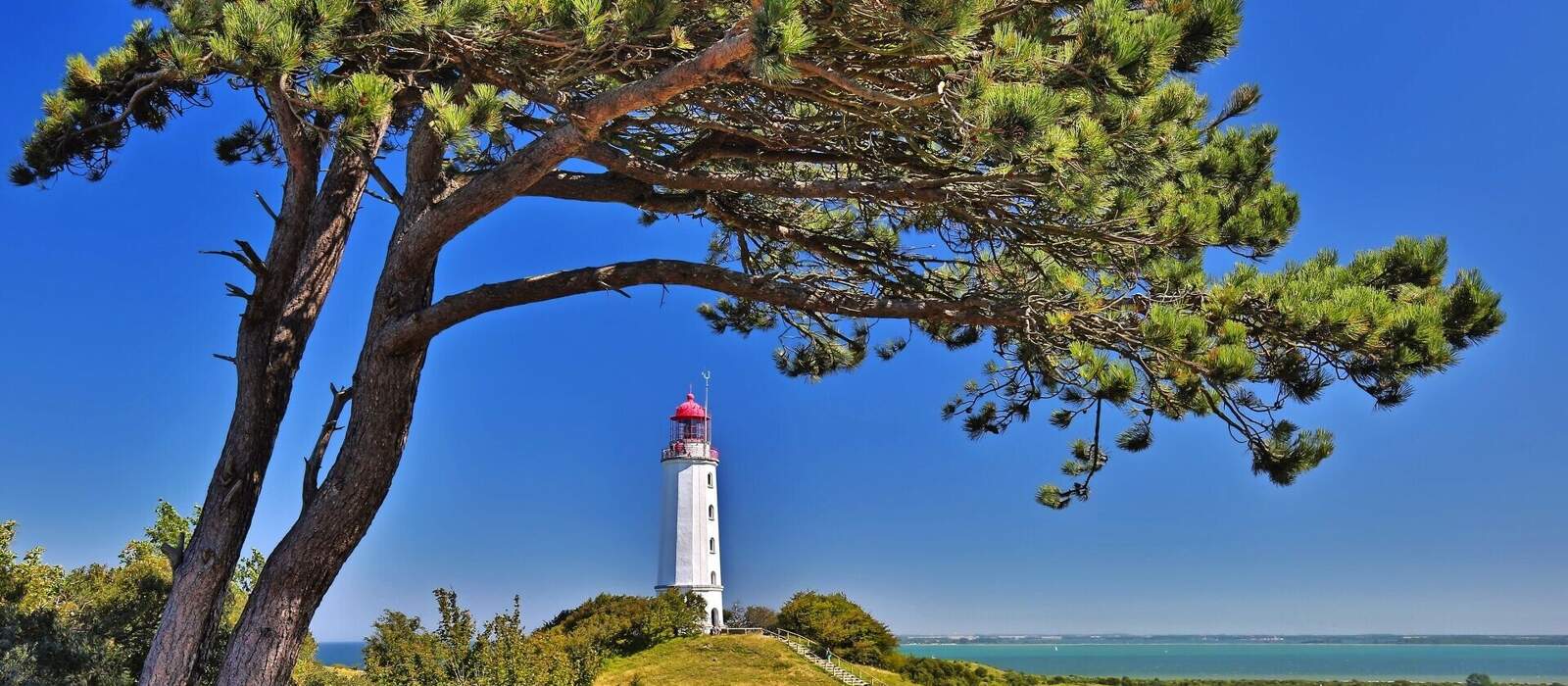 Dornbush Leuchtturm an der Nordküste der Insel Hiddensee © Henner Damke - Fotolia