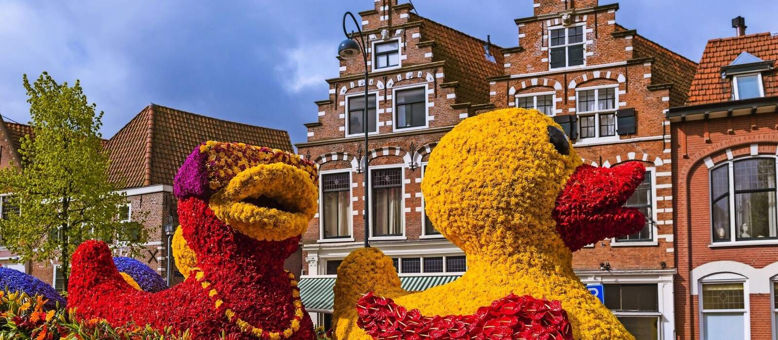 Blumenparade von Noordwijk nach Haarlem, Niederlande © Nikolai Sorokin - stock.adobe.com