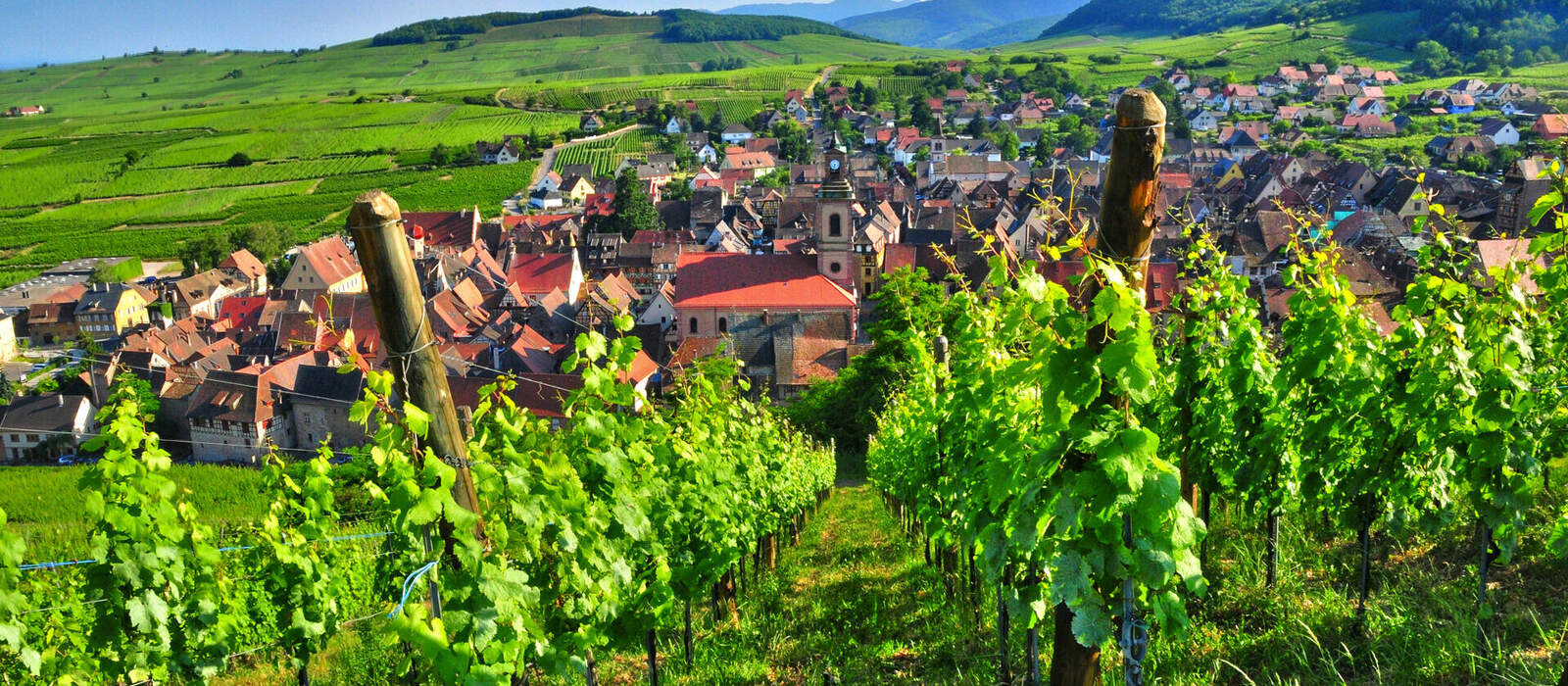 malerisches Dorf von Riquewihr im Elsass, Frankreich ©PackShot - stock.adobe.com