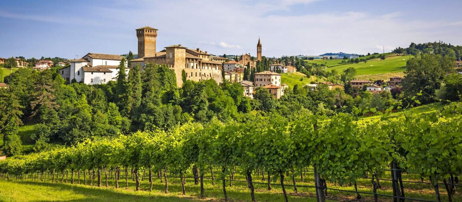 Levizzano Rangone with some wineyards on the foreground during springtiime. Castelvetro Rangone, Modena, Emilia Romagna, Italy © stefanotermanini - stock.adobe.com