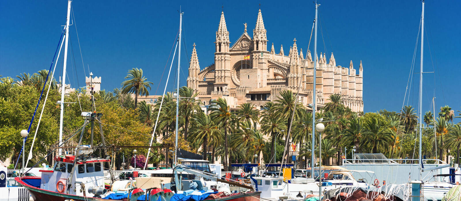 View of Palma de Mallorca with Cathedral La Seu and the fishing port - 9325 © Wolfgang Jargstorff - stock.adobe.com