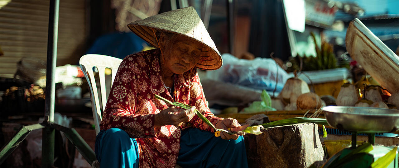Le Vietnam - Des terres originelles 