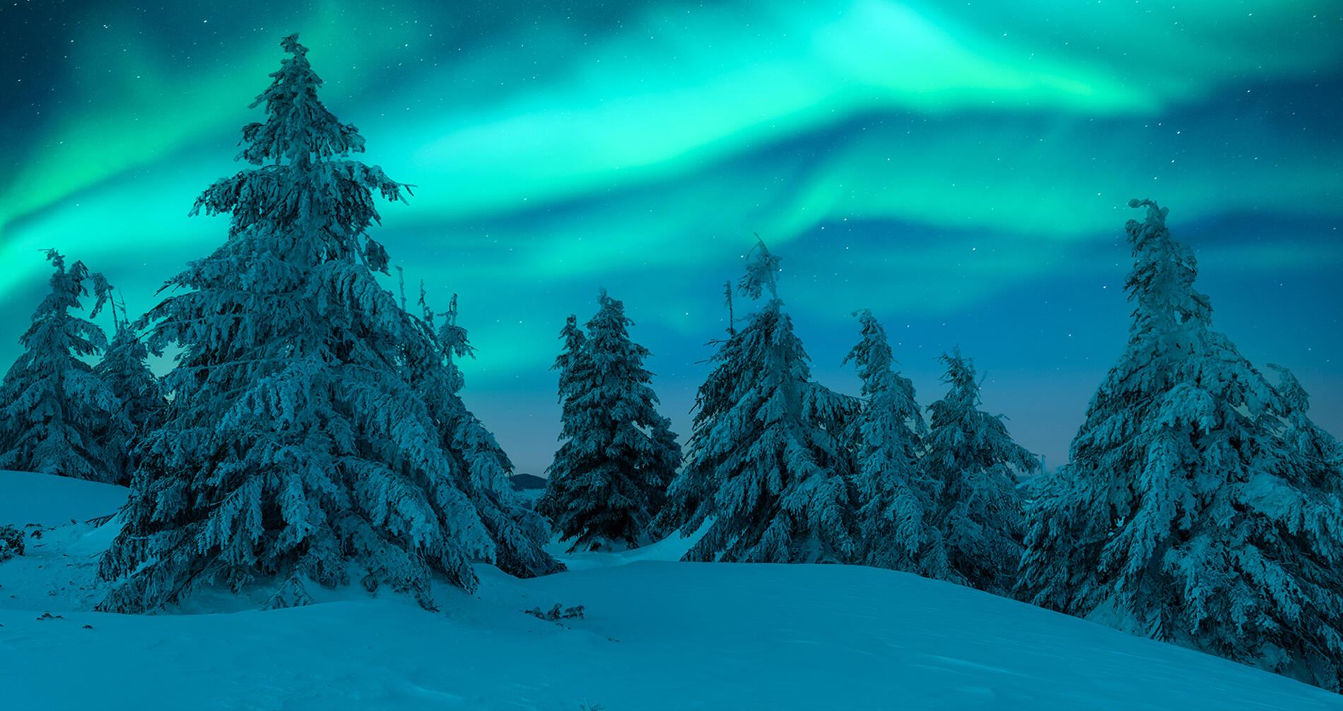 Erlebe den Zauber des Wintercampings