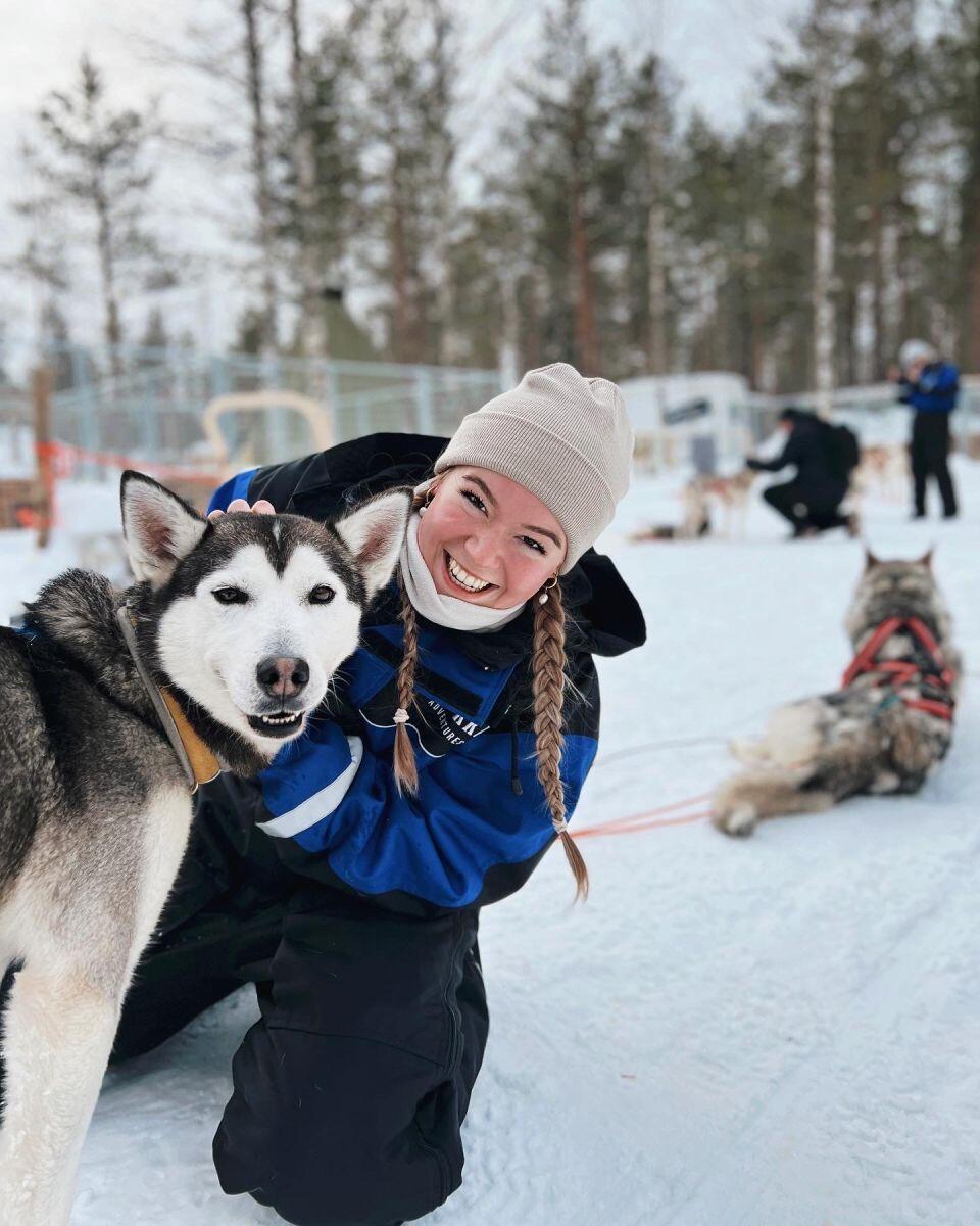 Ein Wintermärchen: Unsere Erfahrungen und Empfehlungen aus Skandinavien
