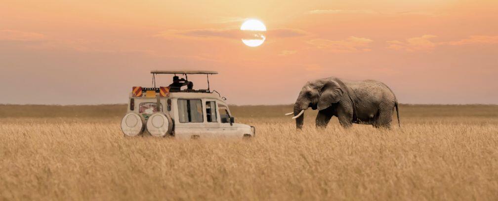 Maßgeschneiderte Luxusreisen – Ihre Träume, unser Plan