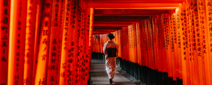 Discovering Japan: A Personalized Journey Through Unexplored Wonders