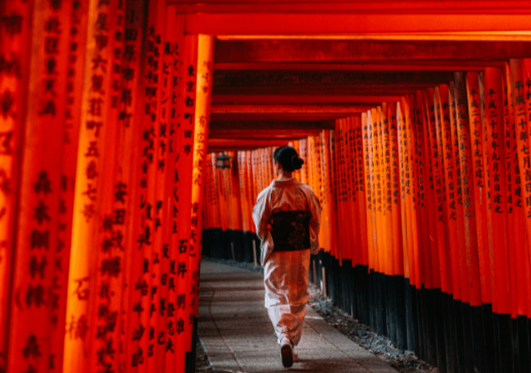 Discovering Japan: A Personalized Journey Through Unexplored Wonders