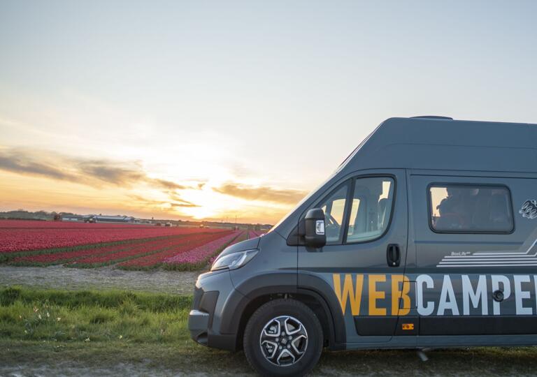WebCamper Family Road Trip: Exploring Netherlands Tulip Fields WebCamper Family Road Trip: Exploring Netherlands Tulip Fields
